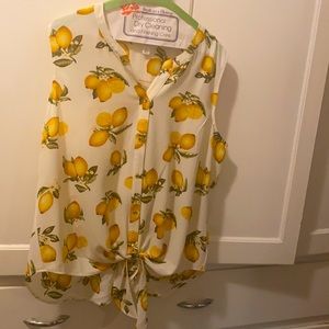 Westport sleeveless shirt blouse, tie waist NWOT